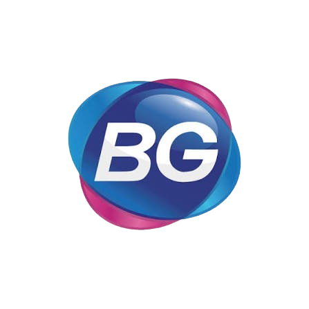 BigGaming logo