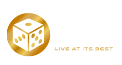 VIVO logo